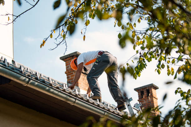 Best Metal Roofing Contractor  in Fullerton, NE