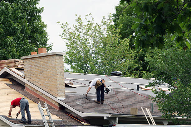 Best Roof Gutter Cleaning  in Fullerton, NE
